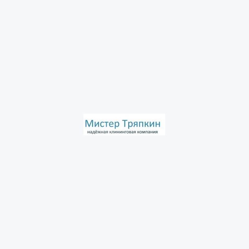 Мистер Тряпкин